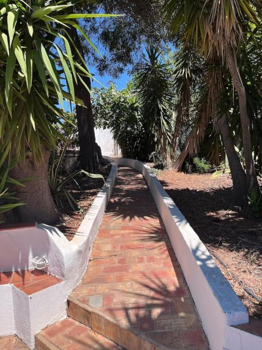Beautiful Private Villa With Pool, Boliqueime, Loule Exterior foto
